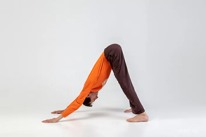 Asana Adho Mukho Svanasana Jogos Pagrindai