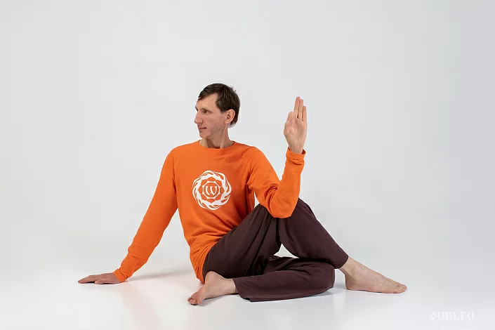 Asana Ardha Matsiendrasana Jogos Pagrindai