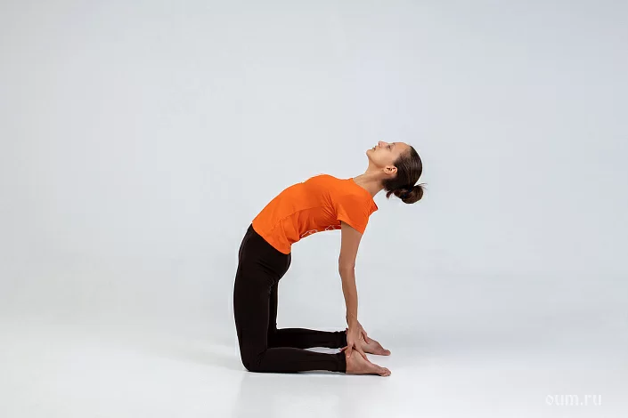 Asana Ustrasana Jogos Pagrindai