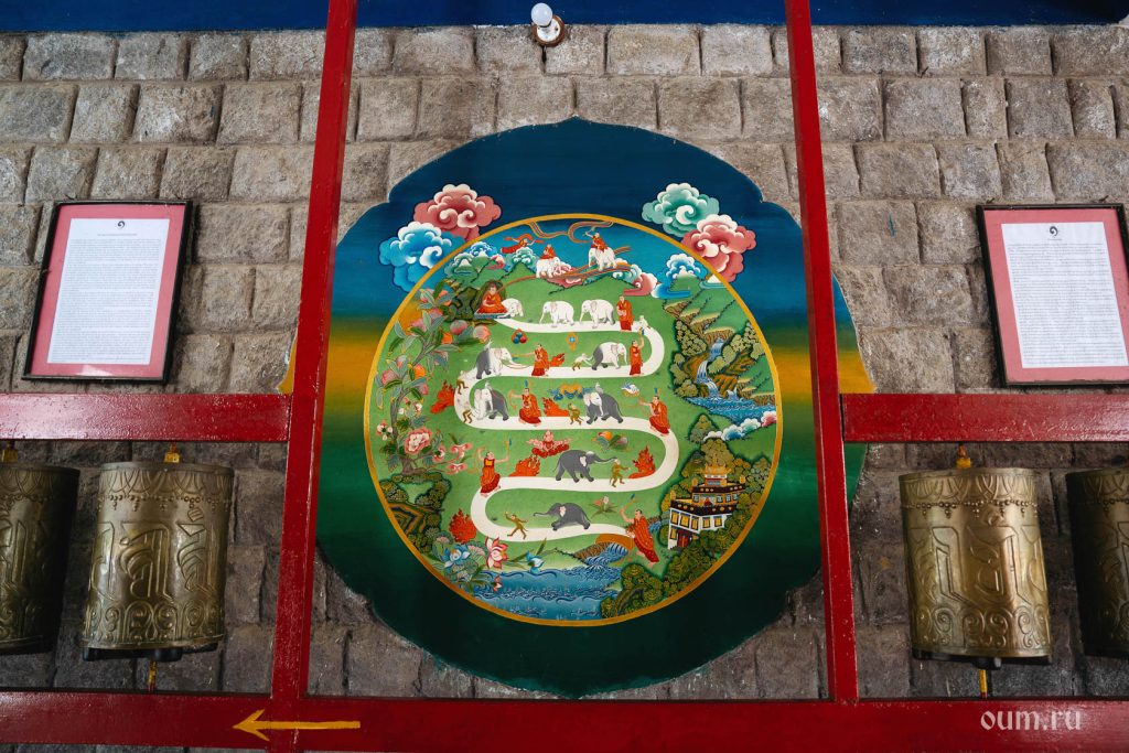 Samsara Jogos Pagrindai