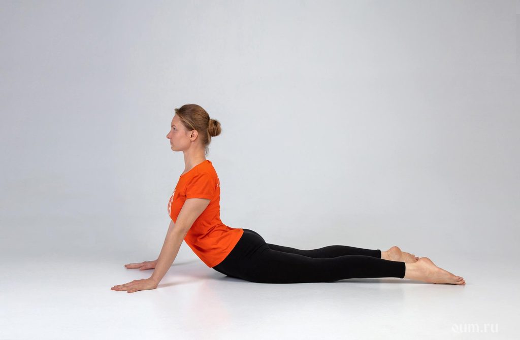 Bhudzangasana Jogos Pagrindai